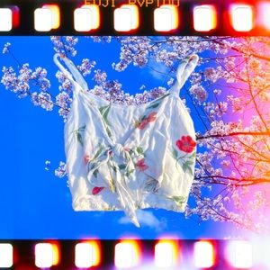 Hollister Co Dainty Crop Top 🍁